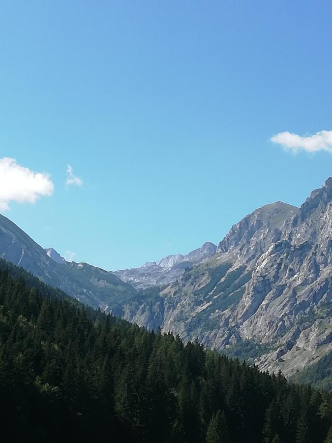 Fruehstueckspension Seeberghof Seewiesen Extérieur photo